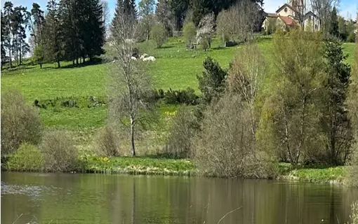 Le petit Fournolais